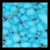 Bird's Eye Turquoise