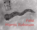 Fake Morris Robinson mark