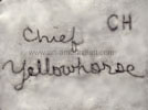 Chief Yellowhorse Navajo hallmark