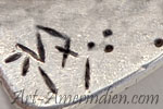 Vx mark
